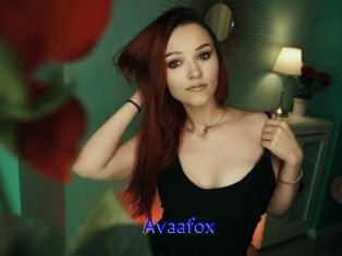 Avaafox