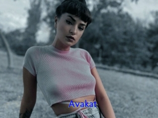 Avakat