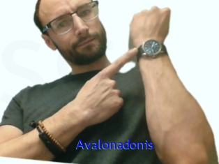 Avalonadonis