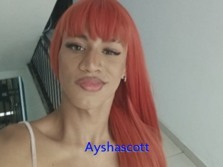 Ayshascott