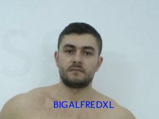 BIGALFREDXL