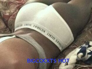 BIGCOCKTS_HOT