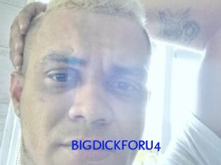 BIGDICKFORU4