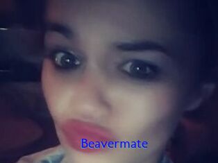 Beavermate
