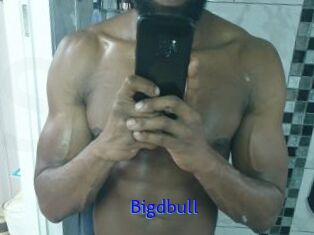 Bigdbull