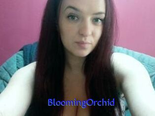 BloomingOrchid