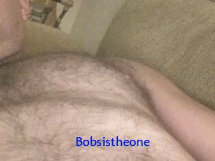 Bobsistheone