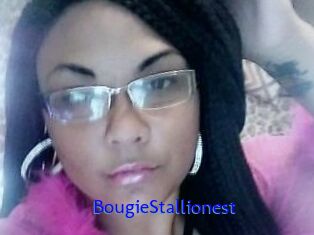 BougieStallionest