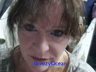 BreezyOcean