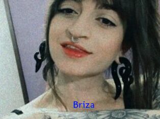 Briza