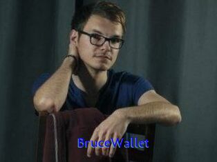 BruceWallet