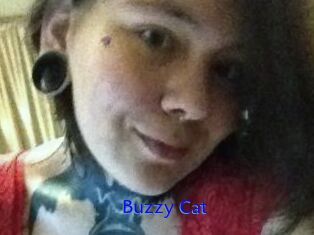 Buzzy_Cat