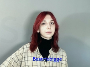 Beatrixbigge