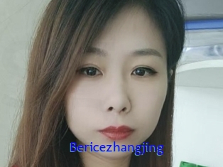 Bericezhangjing