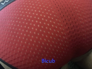 Bicub