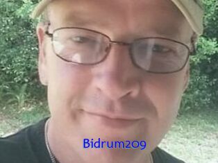 Bidrum209