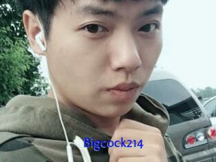 Bigcock214