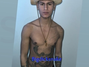 Bigdicksnake