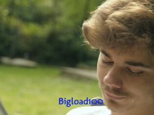 Bigload100