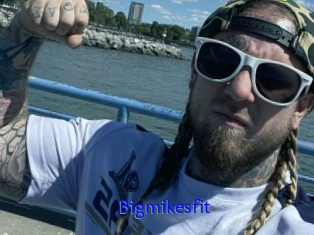 Bigmikesfit