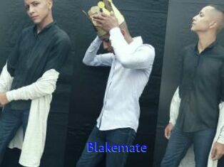 Blakemate