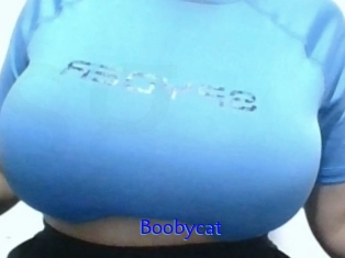 Boobycat