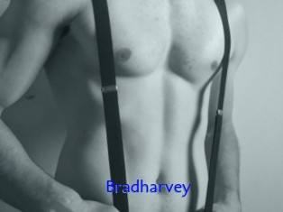 Bradharvey