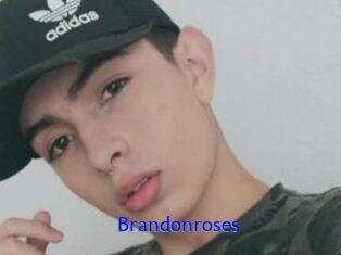 Brandonroses