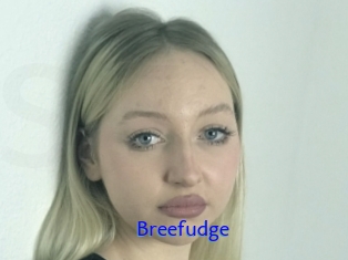 Breefudge