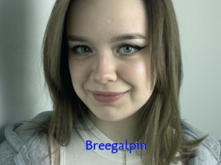 Breegalpin