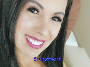 Brunettecat