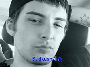 Budkushking