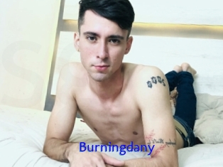 Burningdany