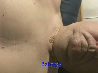Bzh7556