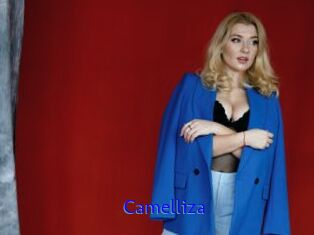 Camelliza