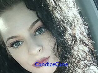 Candice_Cane
