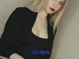 CariBois