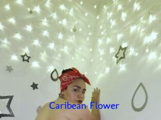 Caribean_Flower