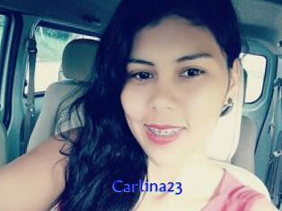Carlina23