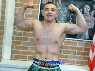 CarlitoBoxer