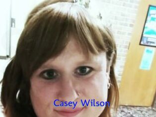 Casey_Wilson