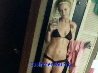Cashmerebunny