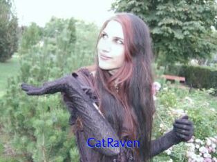 CatRaven