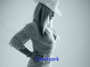 Catofyork