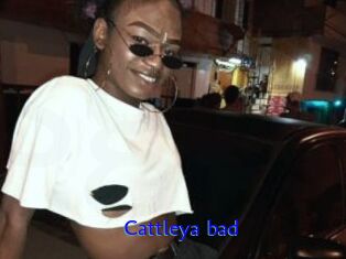 Cattleya_bad