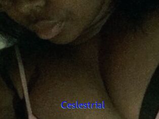 Ceslestrial