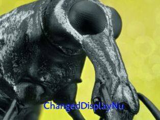 ChangedDisplayNu