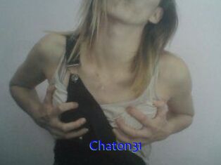 Chaton31