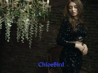 ChloeBird