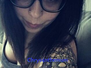 Chrys4nthemum